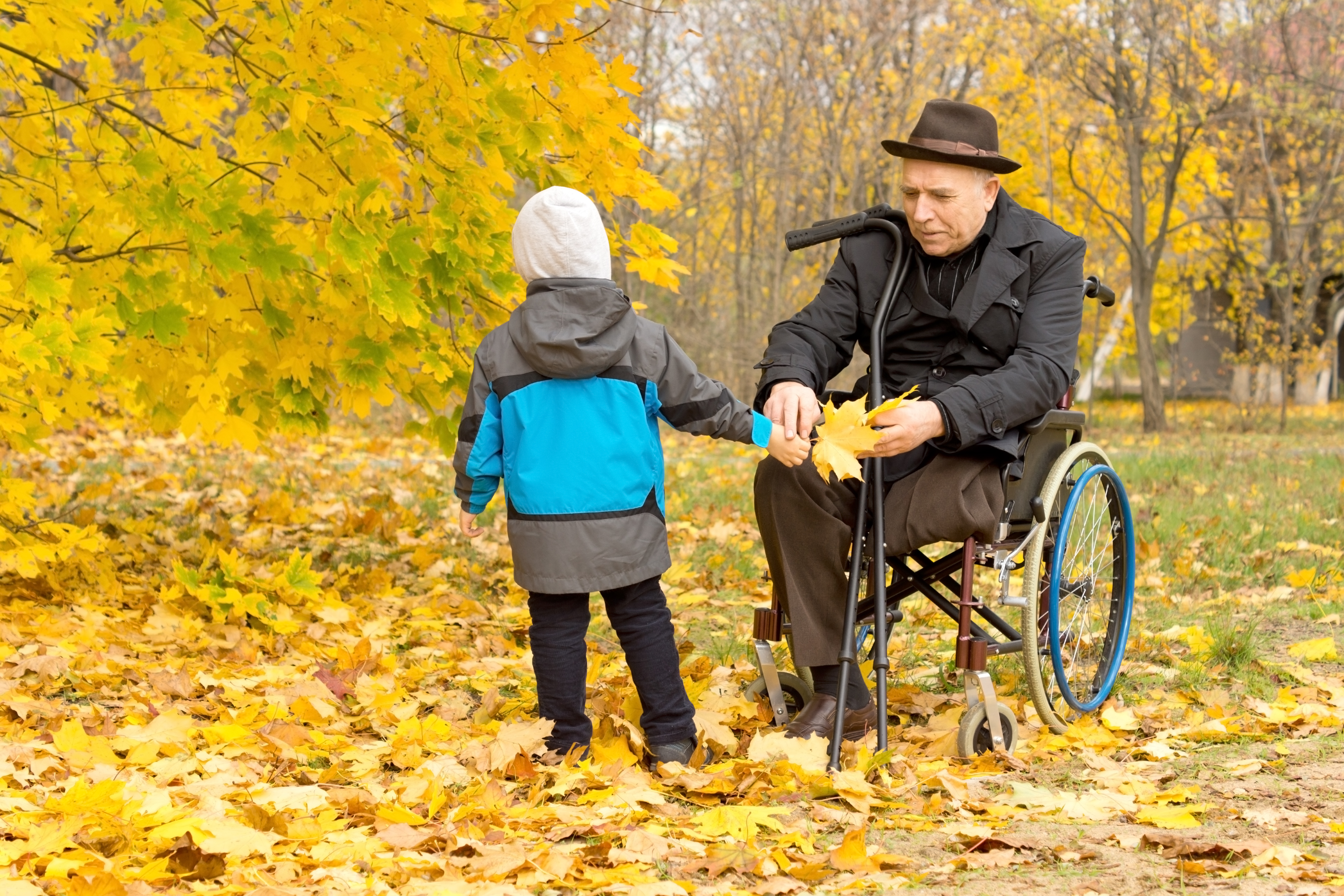 Barn rækker ældre herre i kørestil nogle gule efterårsblade