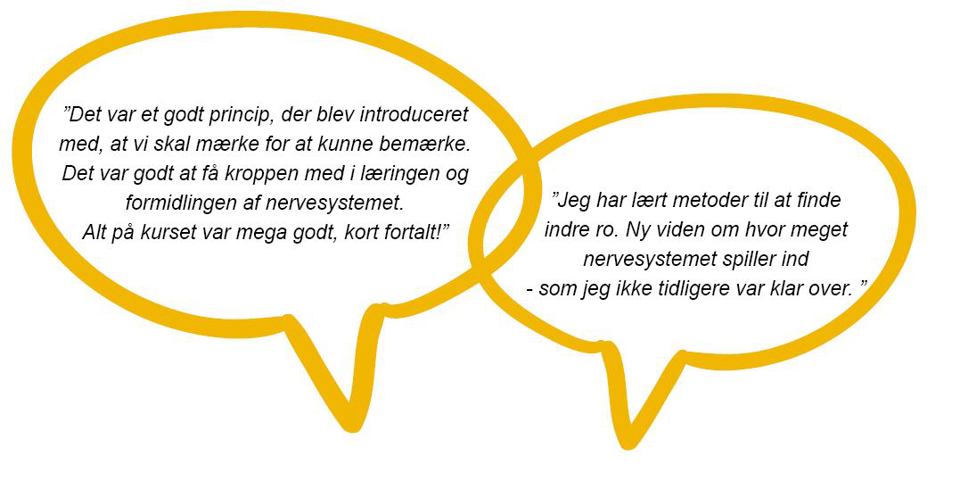 udsagn fra tidligere kursister