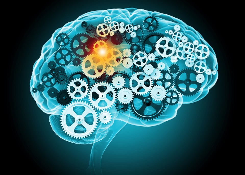 illustration af hjerne med tandhjul